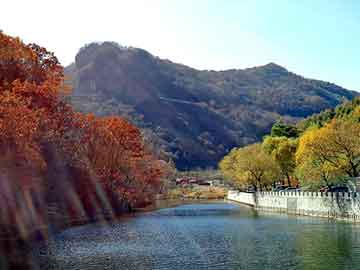 管家婆黑白马报图库，路虎论坛